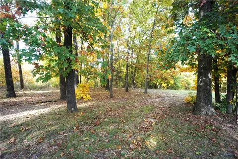 342 Oak Ridge Rd, Seligman, MO 65745 photo 27