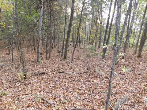 E 74, Jasper, AR 72641 photo 3