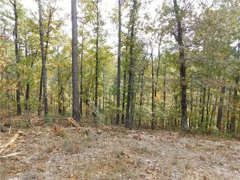 E 74, Jasper, AR 72641 photo 5