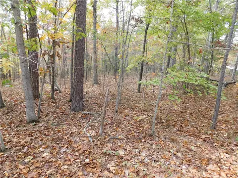 E 74, Jasper, AR 72641 photo 4