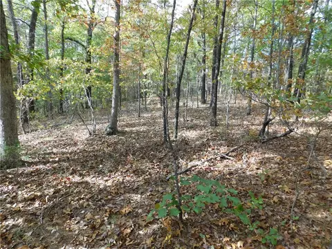 E 74, Jasper, AR 72641 photo 3