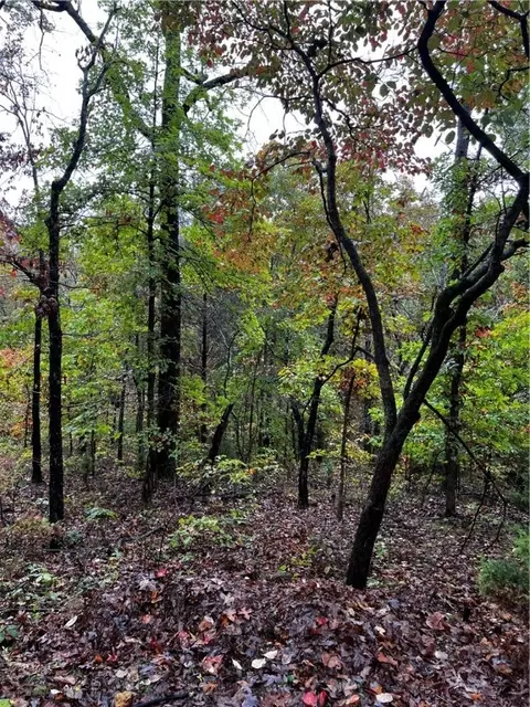 Osset Circle, Bella Vista, AR 72714