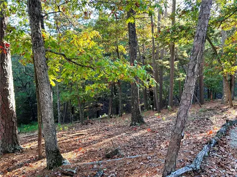 8 Angus, Eureka Springs, AR 72632