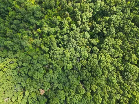 14249 Low Gap, West Fork, AR 72774 photo 14