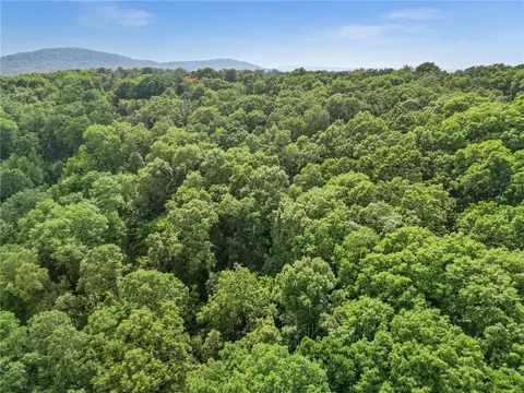 14249 Low Gap, West Fork, AR 72774 photo 13
