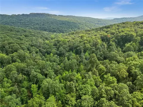 14249 Low Gap, West Fork, AR 72774 photo 12