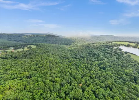 14249 Low Gap, West Fork, AR 72774 photo 10