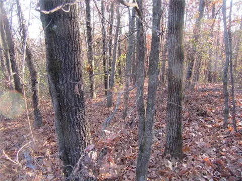 Dickey Street, Eureka Springs, AR 72632