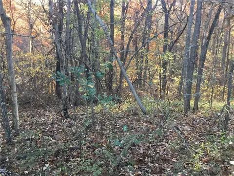 Buttercup Road, Rogers, AR 72756