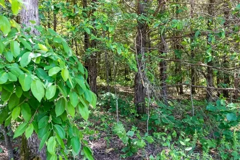 0 Lupine Ln, Harrison, AR 72601