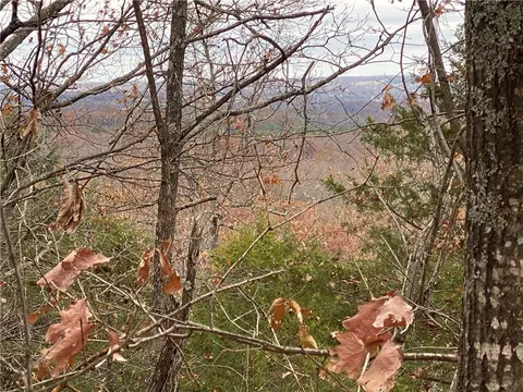 Creel Road, Harrison, AR 72601 photo 3