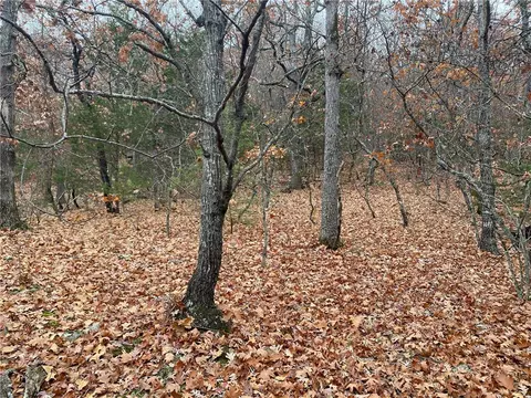 Creel Road, Harrison, AR 72601 photo 4