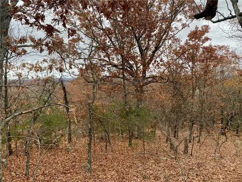 Creel Road, Harrison, AR 72601 photo 6