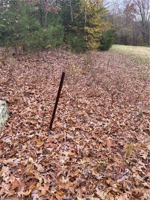 Creel Road, Harrison, AR 72601 photo 7