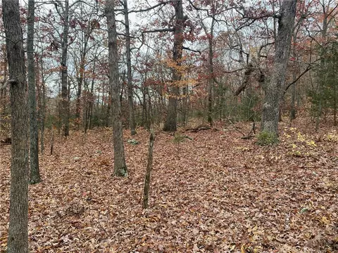 Creel Road, Harrison, AR 72601 photo 5