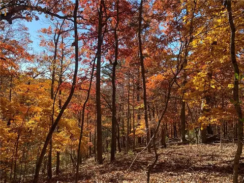 Tract 6 Silver Ridge Road, Eureka Springs, AR 72632