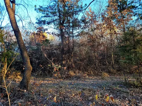 Tract D North Road, Summers, AR 72769 photo 1