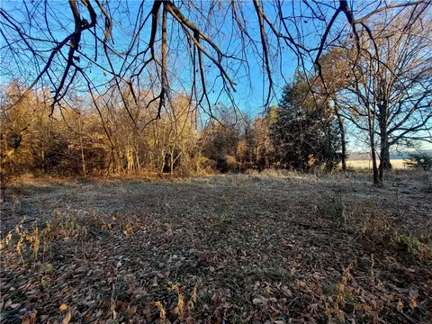 Tract D North Road, Summers, AR 72769 photo 2