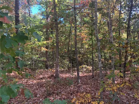 Tbd Rochester Drive, Bella Vista, AR 72714