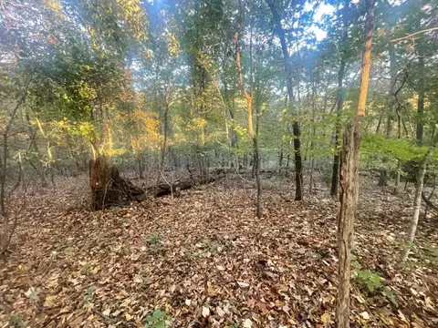 3 Cawood Drive, Bella Vista, AR 72714