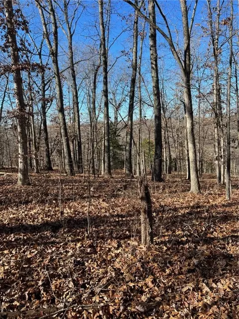 Kent Lane, Bella Vista, AR 72714