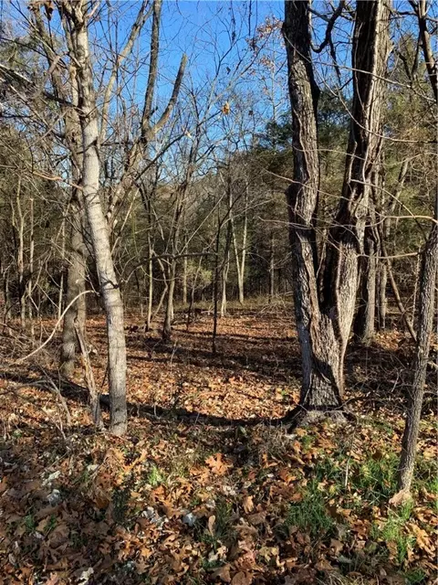 Whitbeck Lane, Bella Vista, AR 72714
