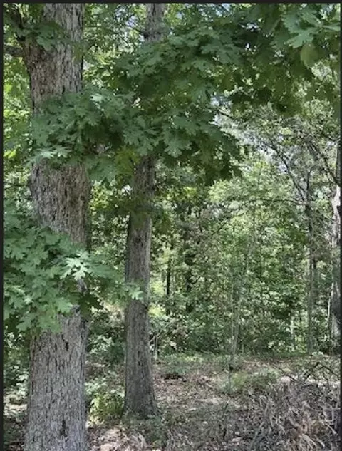 Kinloch Dr Unit, Bella Vista, AR 72715