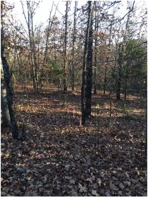 1 Aberdeen Drive, Bella Vista, AR 72715