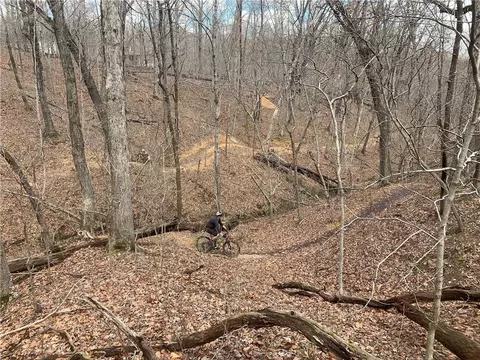 Jason Lane, Bella Vista, AR 72715