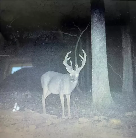 003 War Eagle Blacktop Rd, Springdale, AR 72764 photo 7