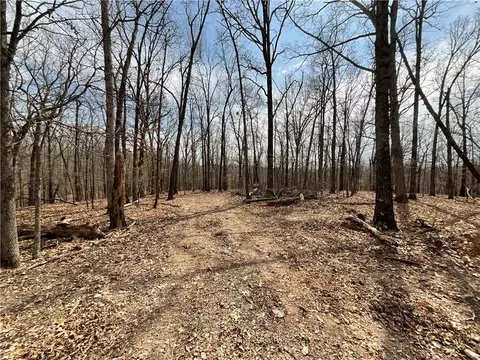 003 War Eagle Blacktop Rd, Springdale, AR 72764 photo 22