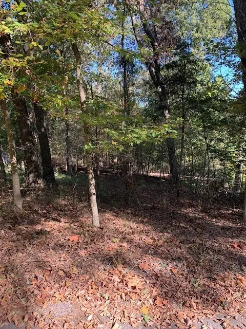 1 Balderton Ln, Bella Vista, AR 72714