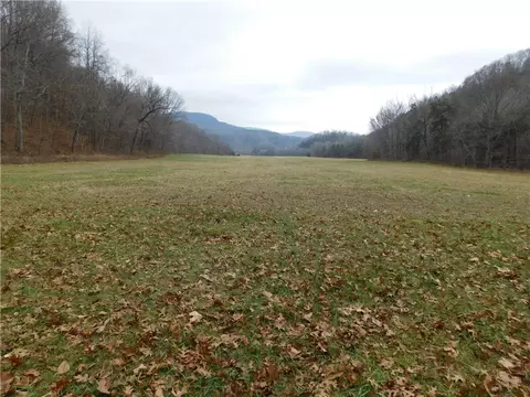Nc 8330, Jasper, AR 72641 photo 28