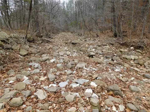 Nc 8330, Jasper, AR 72641 photo 20