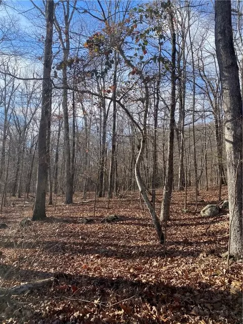 3176 Mcr, Pettigrew, AR 72752 photo 3