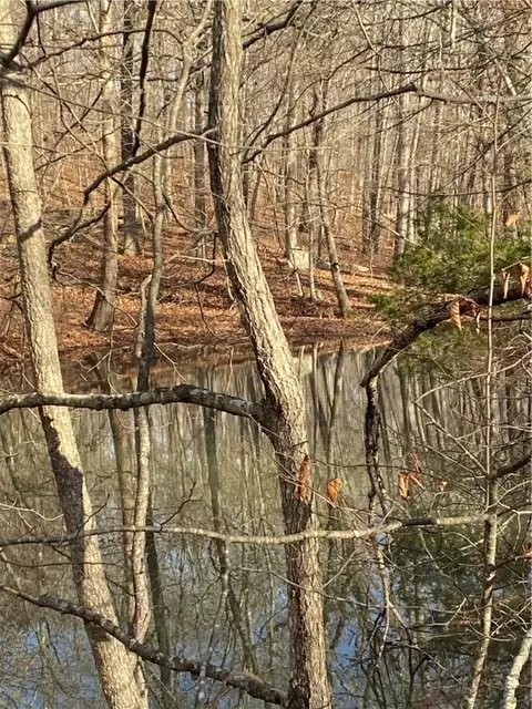 3176 Mcr, Pettigrew, AR 72752