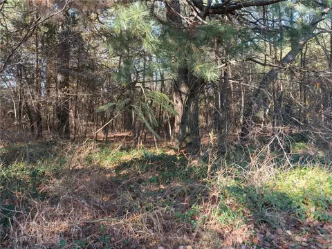 00 Ar-96, Ozark, AR 72949 photo 10