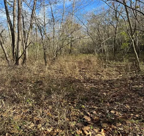 Tbd Madison County 3175, Pettigrew, AR 72752