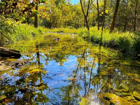 85 Acres Highway 5, Gainesville, MO 65655
