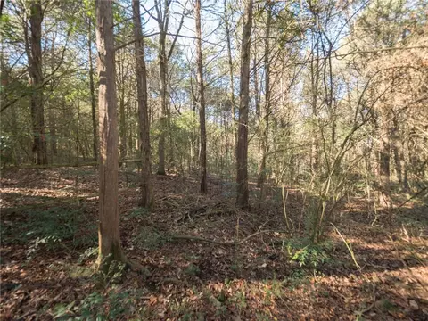 4142 Wagonwheel Ln, Ozark, AR 72949 photo 11
