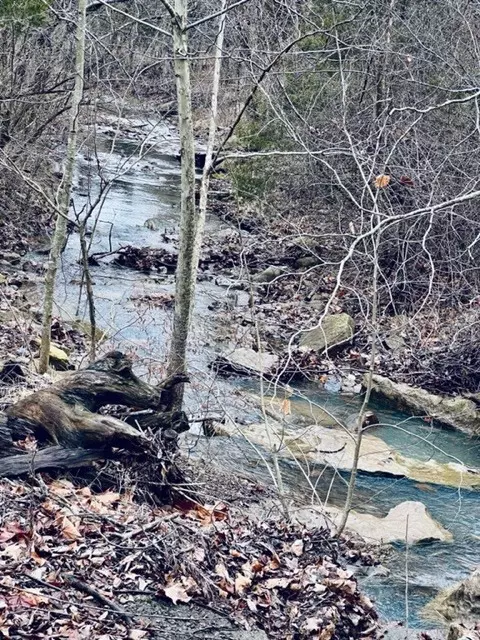 001-07426 000 Off Mineral Springs Rd, West Fork, AR 72774
