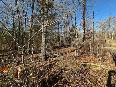12 Mcgaugh Place # 1, Bella Vista, AR 72714