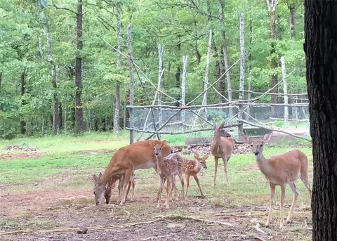 1543 Madison 3055, Witter, AR 72776