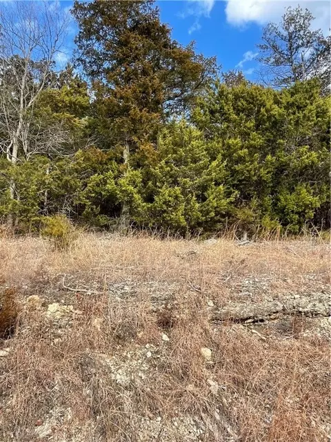 10 Lakeview Dr, Holiday Island, AR 72631
