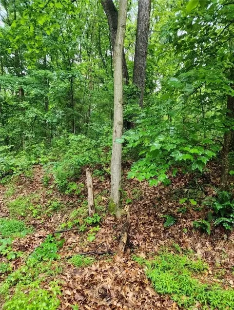 Tbd Leola Lane, Bella Vista, AR 72715