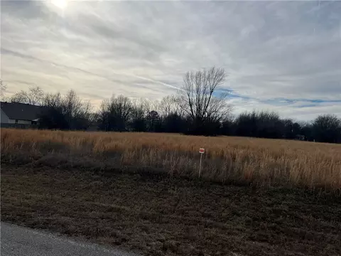 Tract 2-c County Avenue, Lincoln, AR 72744