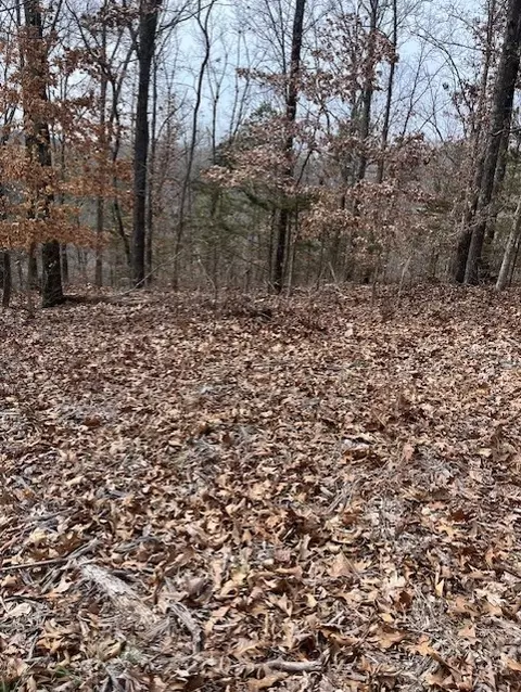 Pickering Drive, Bella Vista, AR 72714