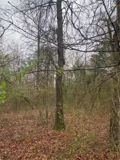 10102 Big Pine Ln, Havana, AR 72842