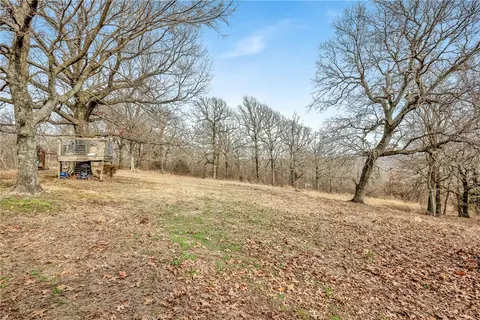 Exterior - 11002 Sturdy Rd, Summers, AR 72769 photo 4 of 4