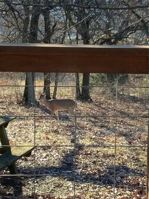 Other - 11002 Sturdy Rd, Summers, AR 72769 photo 9 of 9